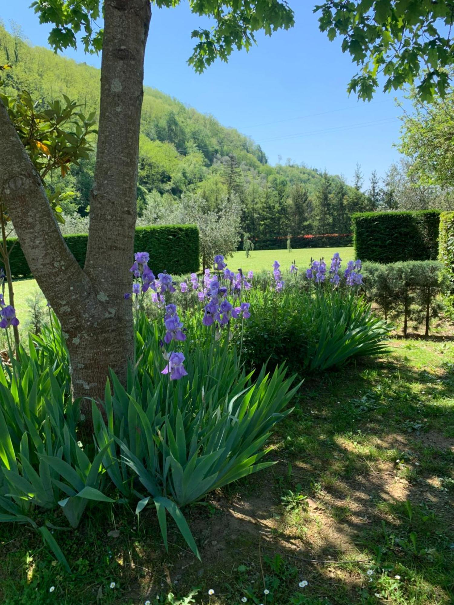 Podere Campofossato Pistoia Luaran gambar