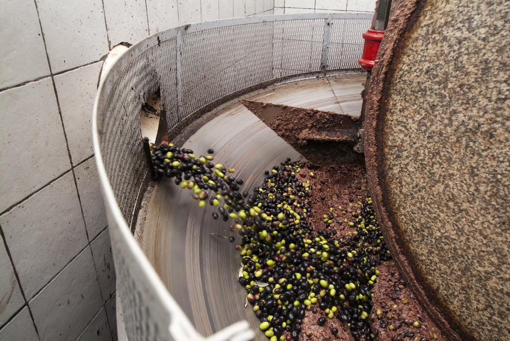 Podere Campofossato Pistoia Luaran gambar