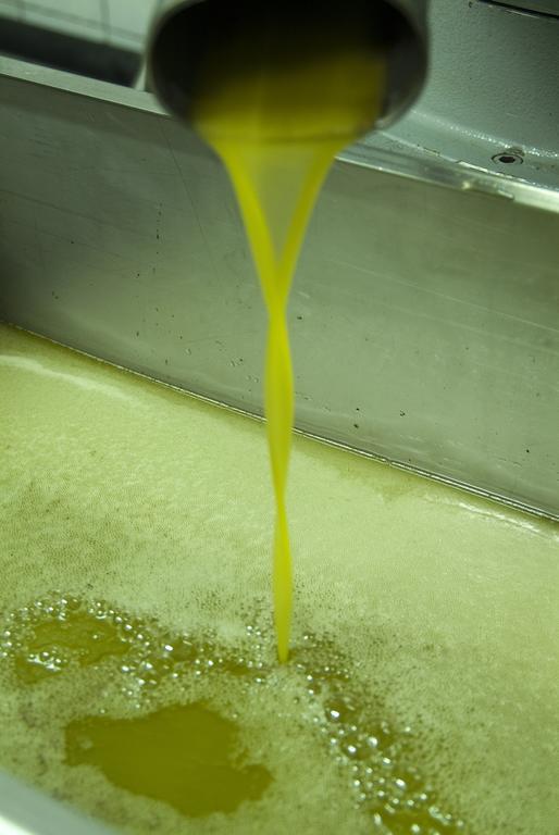 Podere Campofossato Pistoia Luaran gambar