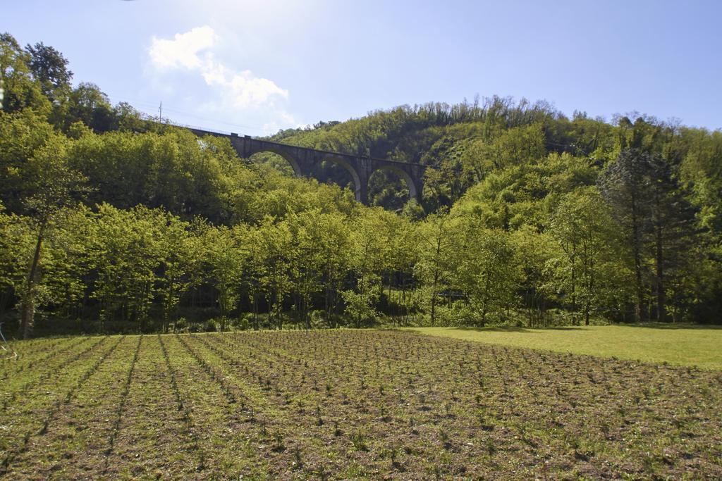 Podere Campofossato Pistoia Luaran gambar