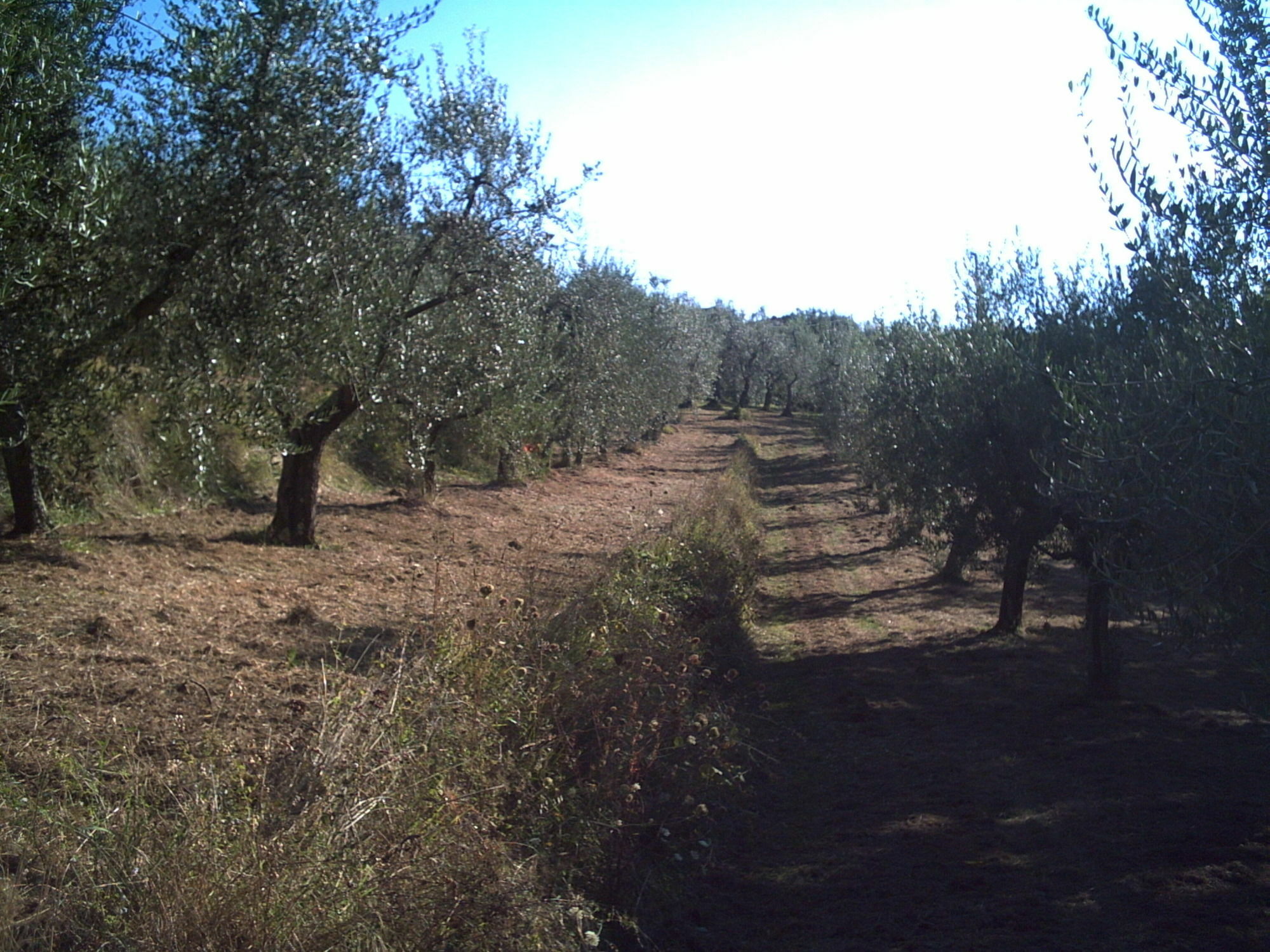Podere Campofossato Pistoia Luaran gambar